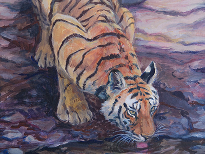 Jennifer Buxton - Tiger Portraits