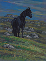 Black horse on the hill