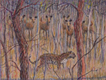 Leopard and Sambar Deer