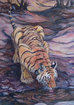 Tiger at the Waterhole